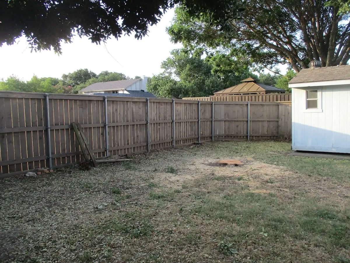 Cleared yard after professional tree removal in Perth